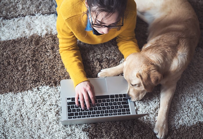 Was ein Sniffer ist und wie man sich vor Sniffing schützt